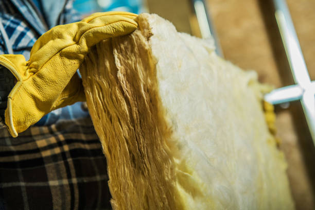 Best Blown-in Insulation in Bradenton, FL